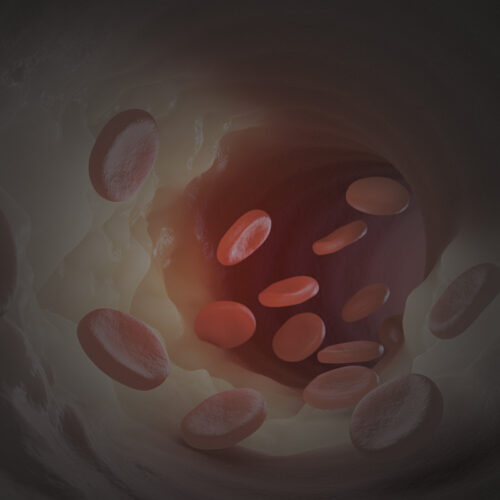 How to heal your blood clot blocks - Envision Scientific - A concept medical group company